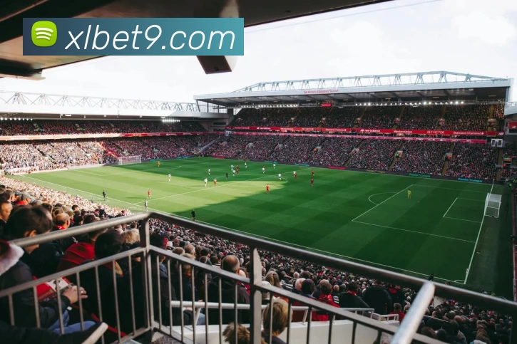 喜乐在线官网平台生态图